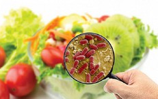 Bộ Y tế yêu cầu điều tra, xử lý vụ nghi ngộ độc thực phẩm khiến 23 học sinh ở TP. Hồ Chí Minh nhập viện