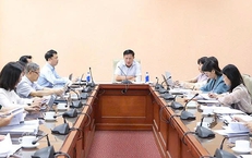 Hoàn thiện Nghị định hướng dẫn thi hành Luật Dân số bảo đảm thuận lợi khi thực thi