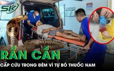 Rắn độc bò vào nhà cắn, người bệnh 41 tuổi phải cấp cứu trong đêm