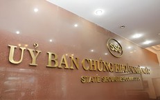 Công ty Bưu chính Viễn thông bị xử lý vi phạm chứng khoán