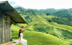 Y học cổ truyền ‘bắt tay’ du lịch y tế: Từ cội nguồn lịch sử đến hướng đi tương lai