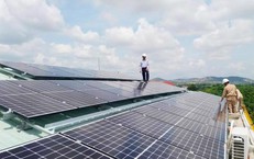 Năng lượng Nam Phương vi phạm chứng khoán