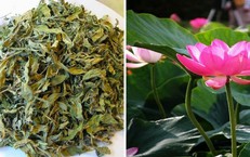 Lá sen, vị thuốc quý trong mùa hè