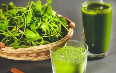 Một loại rau mọc dại, rất nhiều trong mùa hè, có tác dụng làm đẹp không ngờ