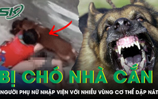 Cụ bà 72 tuổi nhập viện với nhiều vùng cơ thể dập nát vì bị chó becgie nặng 30kg cắn xé