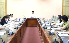 Cập nhật văn bản pháp luật mới vào dự thảo Quy chuẩn giới hạn ô nhiễm độc tố vi nấm trong thực phẩm