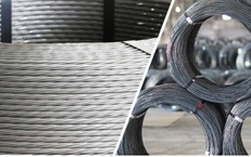 Công ty Xuất nhập khẩu Thiên Nam vi phạm chứng khoán