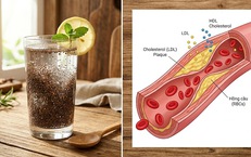 Cách uống nước hạt chia có thể giúp giảm cholesterol và hỗ trợ tim mạch