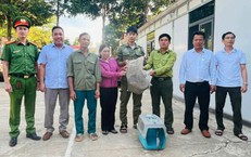 Phát hiện động vật quý hiếm trên rẫy, cả nhà mang nộp cho công an