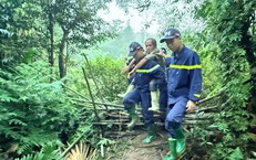 Hơn 300 người tìm kiếm nạn nhân mất tích khi đi hái dược liệu trong rừng ở Tuyên Quang