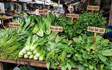 5 loại rau nên ăn trước bữa chính để giảm cân hiệu quả