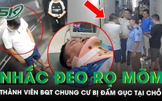 Nhắc đeo rọ mõm cho chó, thành viên Ban Quản trị chung cư bị đấm gục tại chỗ