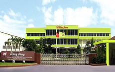 Xử phạt Công ty Cổ phần Rạng Đông Holding 92,5 triệu đồng