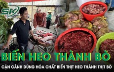 Cận cảnh quy trình dùng hóa chất 'biến' 65 tấn thịt heo thành thịt bò ở TP.HCM