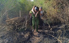 Đà Nẵng: Ngọn lửa bùng phát do gió lớn, một phụ nữ suýt mất mạng khi đốt rác