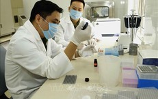 Bổ sung chế độ bồi dưỡng giám định tư pháp