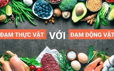 Protein từ động vật hay thực vật tốt hơn cho sức khỏe người cao tuổi?