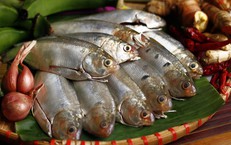 Cá mòi kho: Bí quyết nấu đậm đà, rục xương mà vẫn giữ trọn dinh dưỡng
