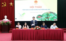 Khơi thông tiềm năng dược liệu Việt Nam để trở thành ngành kinh tế mũi nhọn
