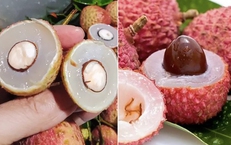 Ăn nhiều nhãn, vải thiều có gây mụn nhọt, hại cho da không?
