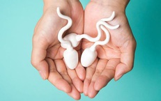 Số lượng tinh trùng của nam giới bao nhiêu là ít?