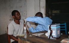 Nguy cơ lây lan virus Ebola xuyên biên giới