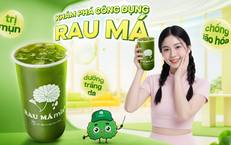 Rau má có giúp chống lão hóa?