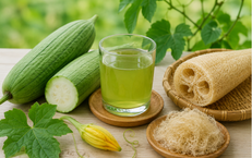 Quả mướp - Từ món ăn bổ dưỡng mùa hè đến giá trị chăm sóc sức khỏe