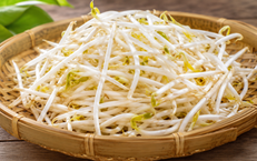 Lý do nên ăn giá đỗ vào tháng Năm