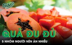 5 nhóm người được khuyên ăn nhiều đu đủ để tăng đề kháng và hỗ trợ tiêu hóa