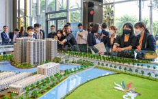 Sở Xây dựng Hà Nội yêu cầu loạt sàn bất động sản báo cáo, rà soát pháp lý