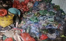 Phát hiện hơn 1 tấn thực phẩm không nguồn gốc chuẩn bị đưa ra thị trường