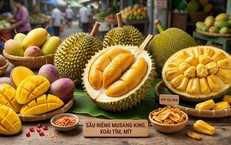 Xoài, mít, sầu riêng đang vào mùa, ăn thế nào để không tăng cân?