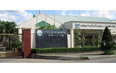 Cổ phiếu DHC được khuyến nghị mua