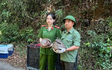 Thả 5 cá thể động vật nguy cấp, quý hiếm vào rừng ở Đắk Lắk