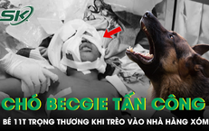 Bé 11 tuổi bị chó becgie tấn công trọng thương khi trèo vào nhà hàng xóm chơi