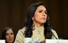 Giám đốc Tình báo Quốc gia Mỹ Tulsi Gabbard từ chức vì lý do sốc