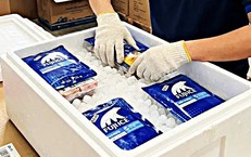 Mang đá khô bảo quản thực phẩm đi máy bay cần đặc biệt lưu ý quy định này