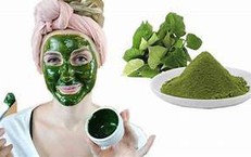 5 cách làm mặt nạ rau diếp cá giúp trị mụn, giảm thâm, làm dịu da mùa hè