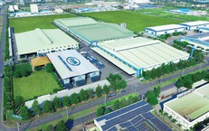 SHS khuyến nghị tăng tỷ trọng cổ phiếu BMP