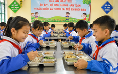 Phối hợp liên ngành tổ chức bữa ăn học đường tỉnh Điện Biên