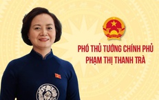 Phó Thủ tướng Phạm Thị Thanh Trà làm Trưởng BCĐ quốc gia về phát triển ngành Dược Việt Nam