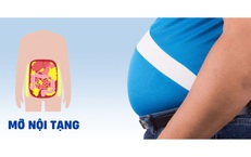 Dư thừa mỡ nội tạng gây nên những bệnh gì?