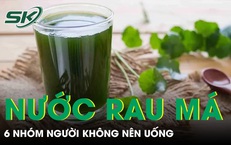 Nước rau má tốt nhưng 6 nhóm người không nên uống