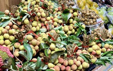 Tiểu thương lý giải giá vải tươi đầu mùa cao chót vót nhưng vẫn đắt hàng
