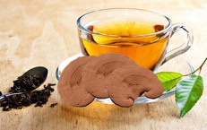 Mùa hè có nên uống trà nấm linh chi hằng ngày?