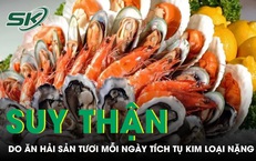 Suy thận do ăn hải sản tươi mỗi ngày tích tụ kim loại nặng trong cơ thể 