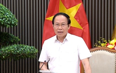 Luật ban hành phải đi vào cuộc sống ngay, không chờ nghị định, thông tư hướng dẫn