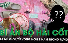 Bí ẩn bộ hài cốt trong rừng Sơn Trà: Nữ giới tử vong hơn 1 năm, không giấy tờ