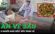Ăn ve sầu, 9 người bị ngộ độc sốc phản vệ